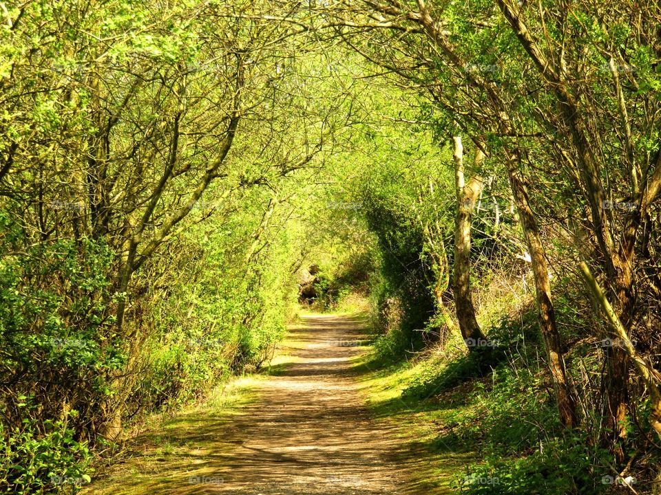 green arch