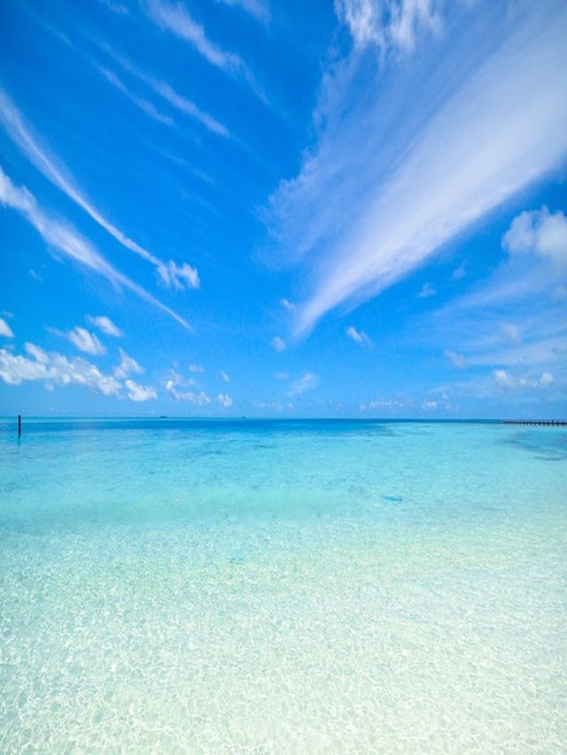 blue sky and sea