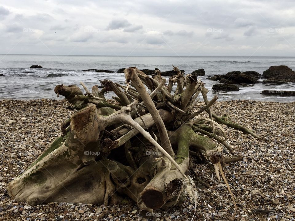 Strange things on the coast 