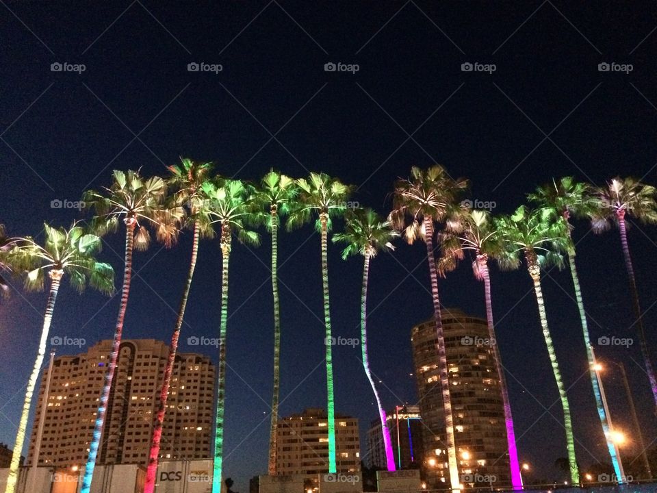 Palms for Pride 