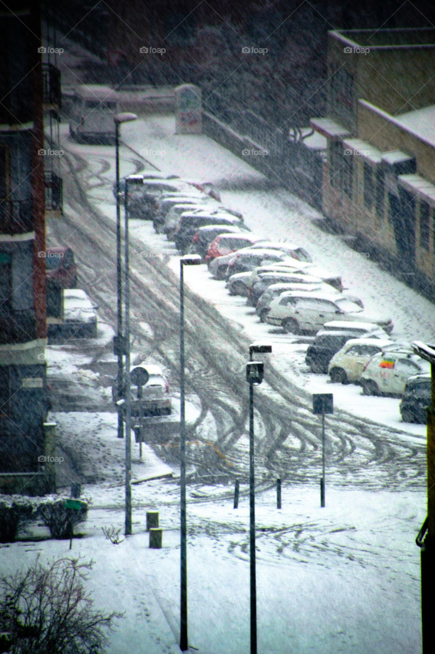 snow in the street