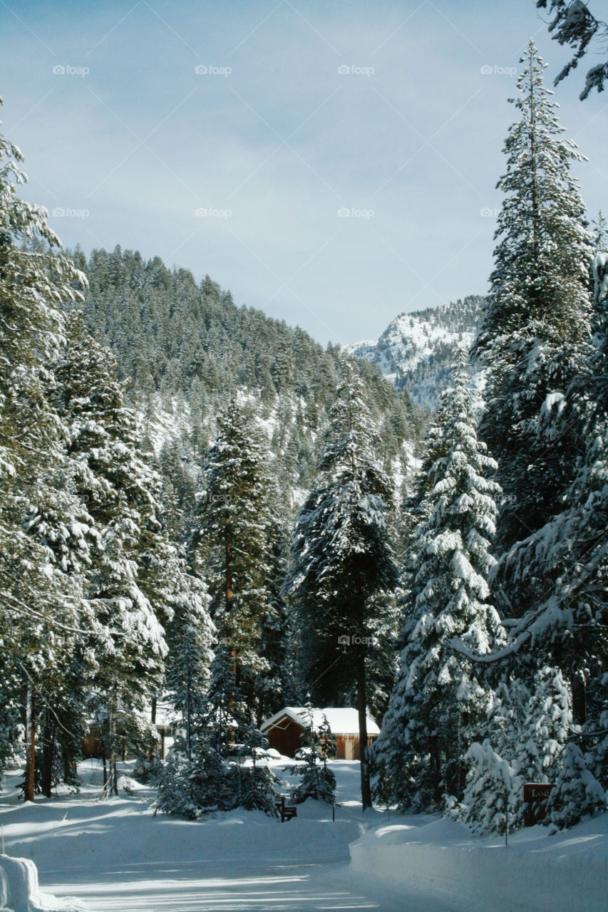 House at Sequoia National Park. Winter 