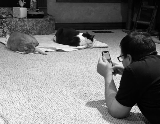 The Man Who Loves Photographing His Adorable Cats in Black And White