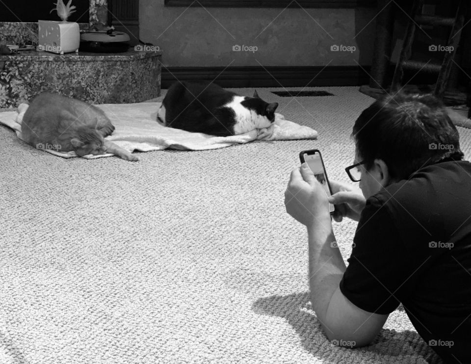The Man Who Loves Photographing His Adorable Cats in Black And White