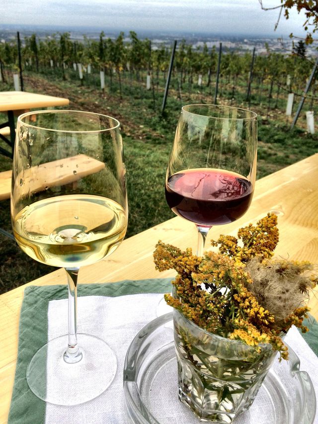 Wein Walk Vienna 