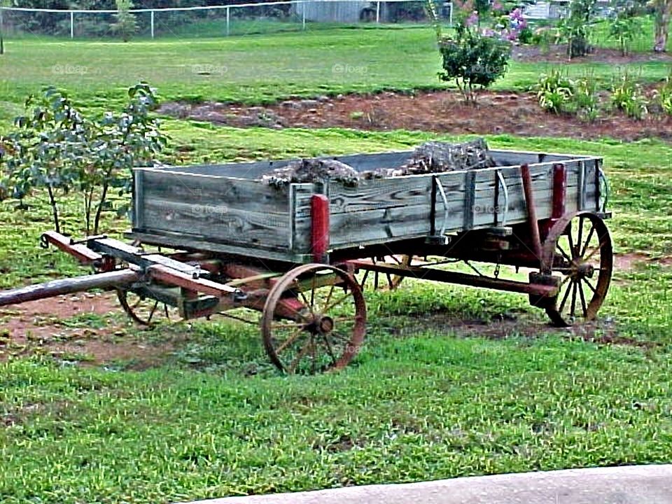 wagon