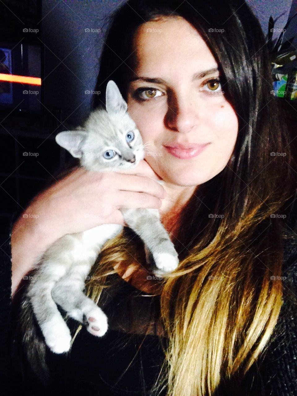 Happy kitten Leo baby