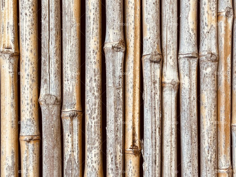 Woody bamboo canes background, wood bamboo surface, woody flat lay 