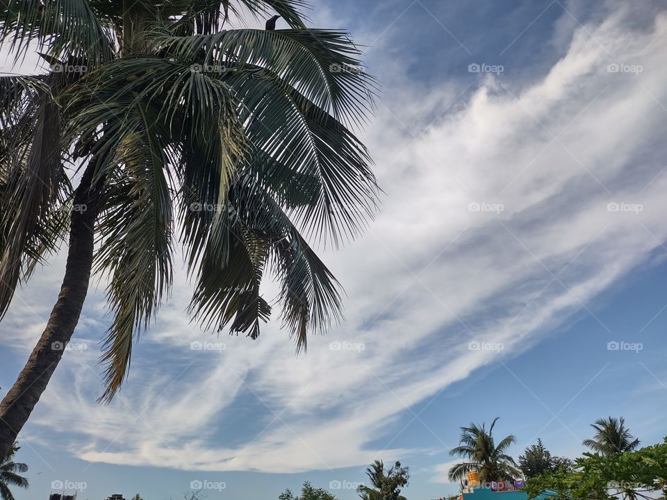 cloudy sunny day : deep blue sky