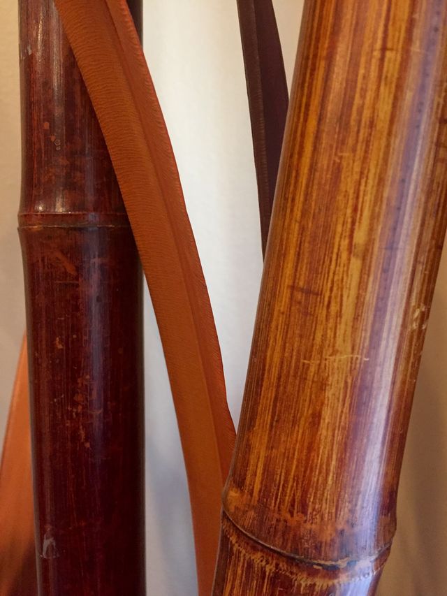 Bamboo 