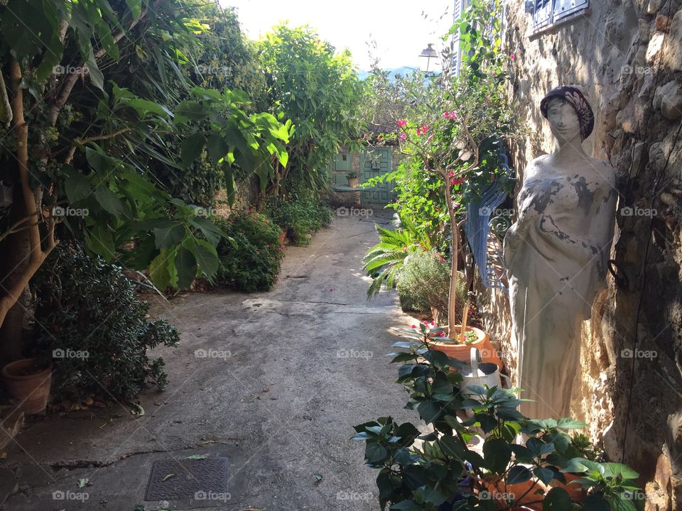 View of statue and path with plants