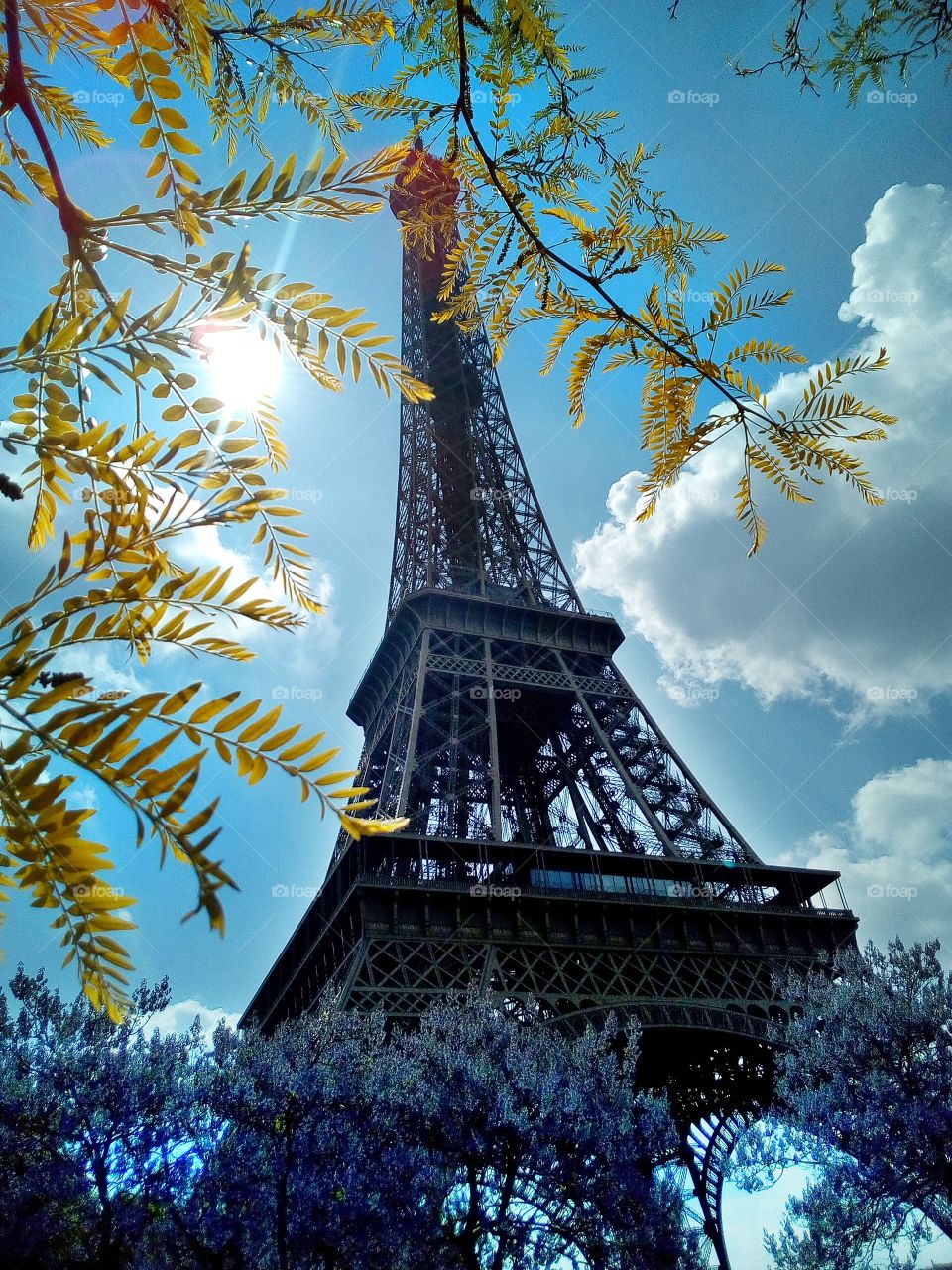 La tour Eiffel dans un écrin de verdure au printemps