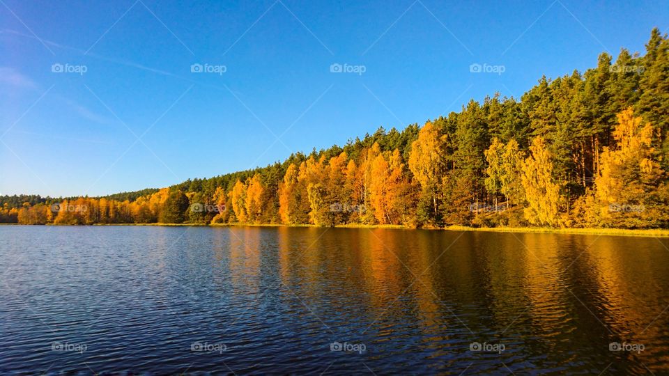 Fall, No Person, Lake, Water, Nature