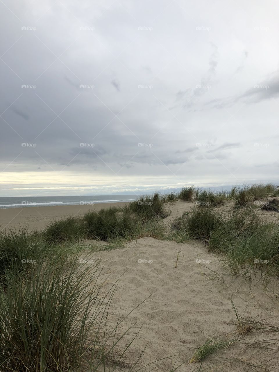 Landscape, Dune, Water, Beach, Sand