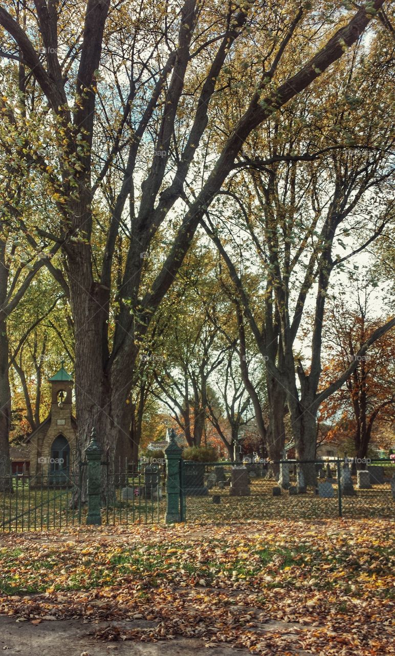 Old Cemetery in Autumn