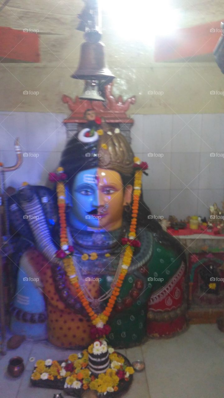 Shiva ji ardhnarishwar
