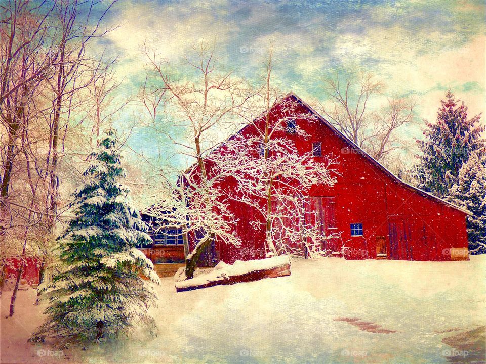 Red house during winter