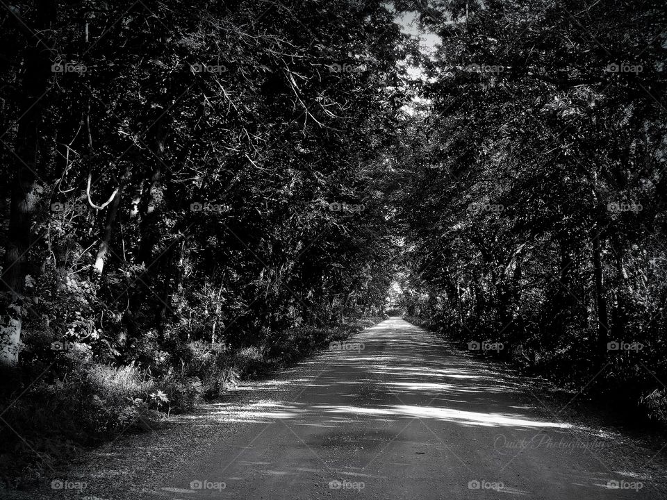 B&W Country Road 