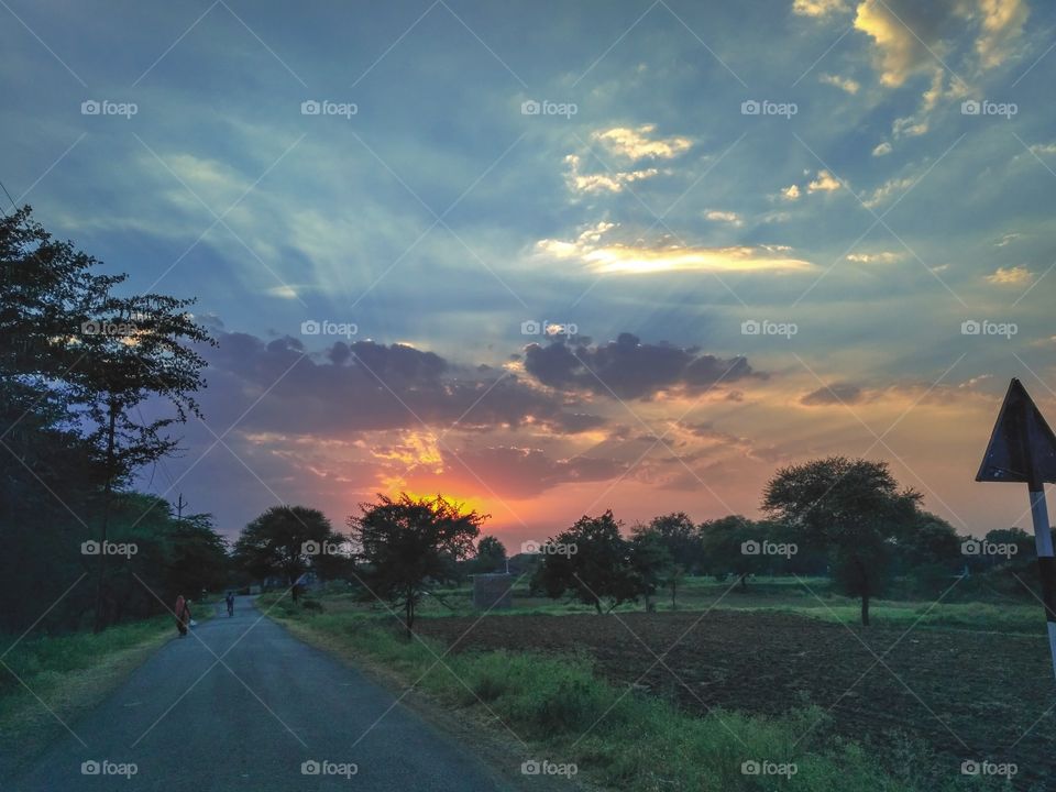 Indian Village Road / Rural Roads / Natural View / Evening Sunset / The Golden Hour / Agriculture Field / Trees / Vivid Atmosphere / scarlet sky