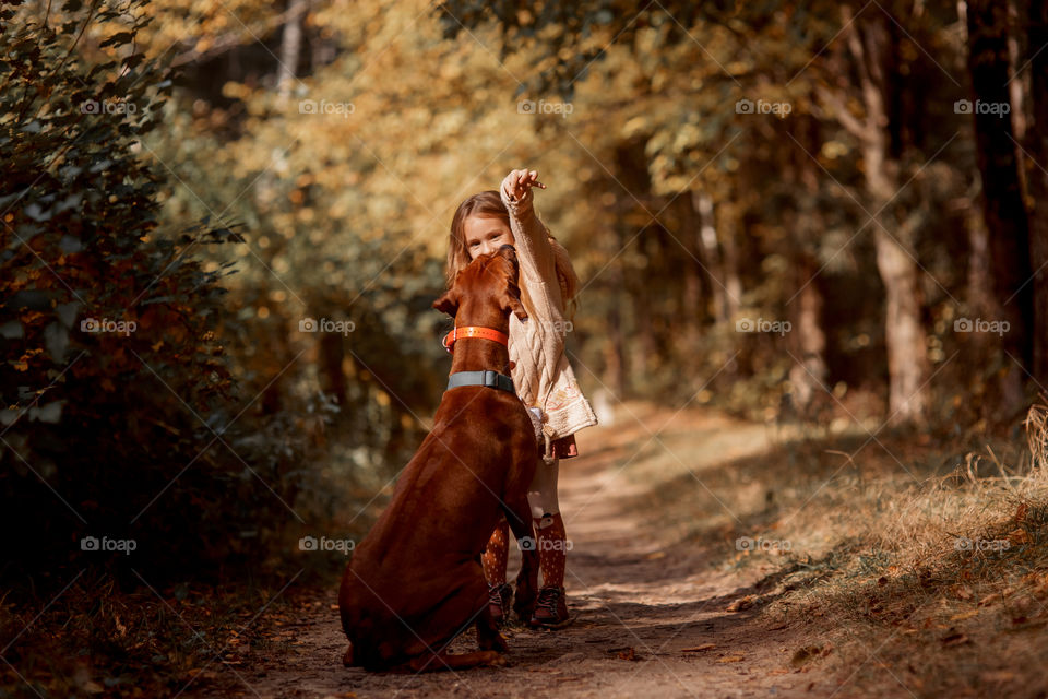 Little girl playing with dogs in an autumn park