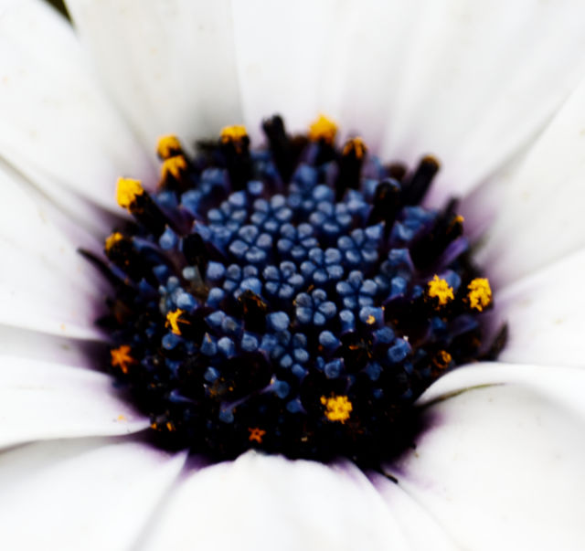 serene photos