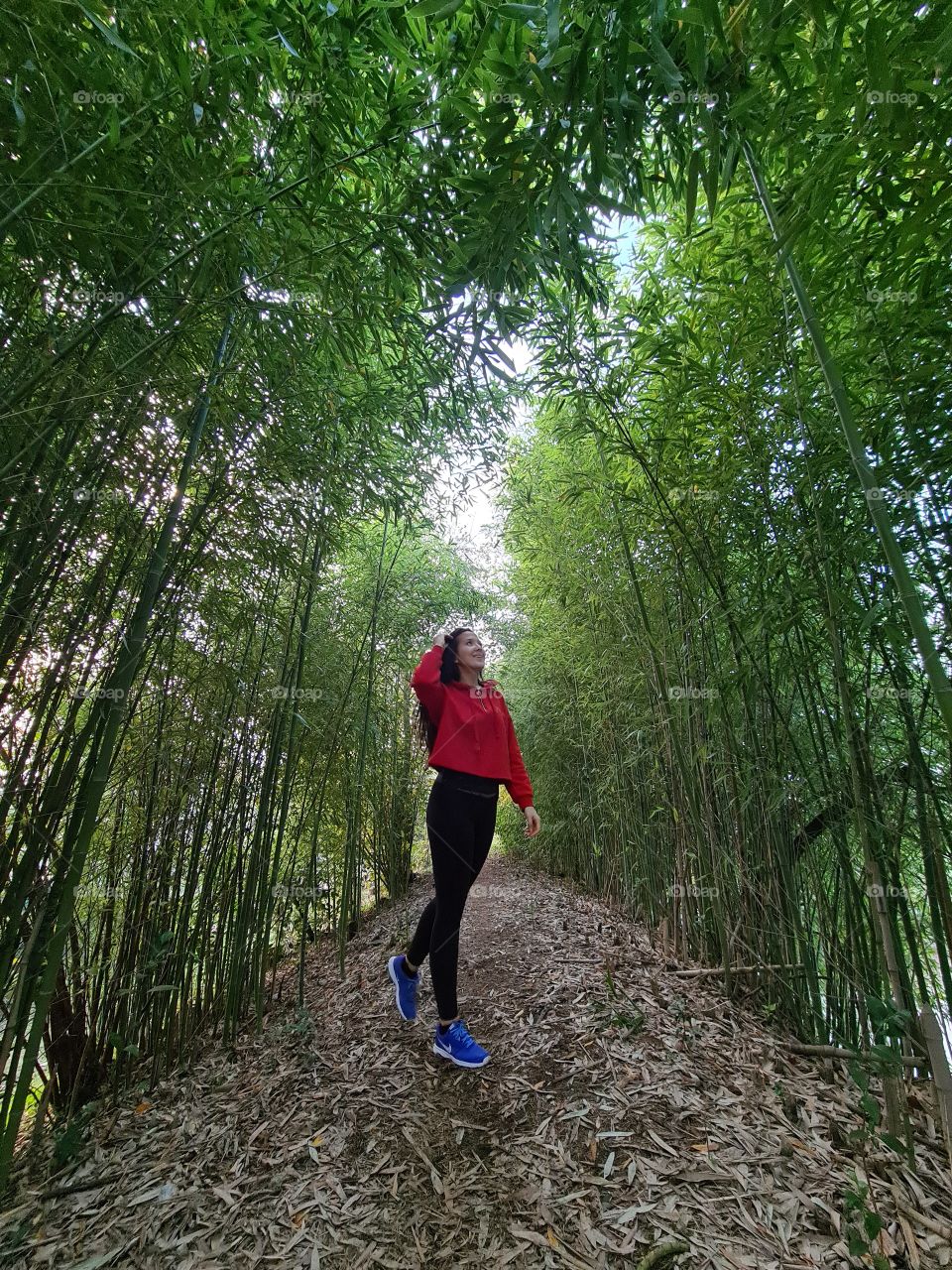 Italian Bamboo Forest