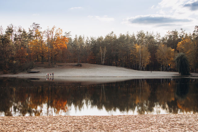 lake in the autumn forest