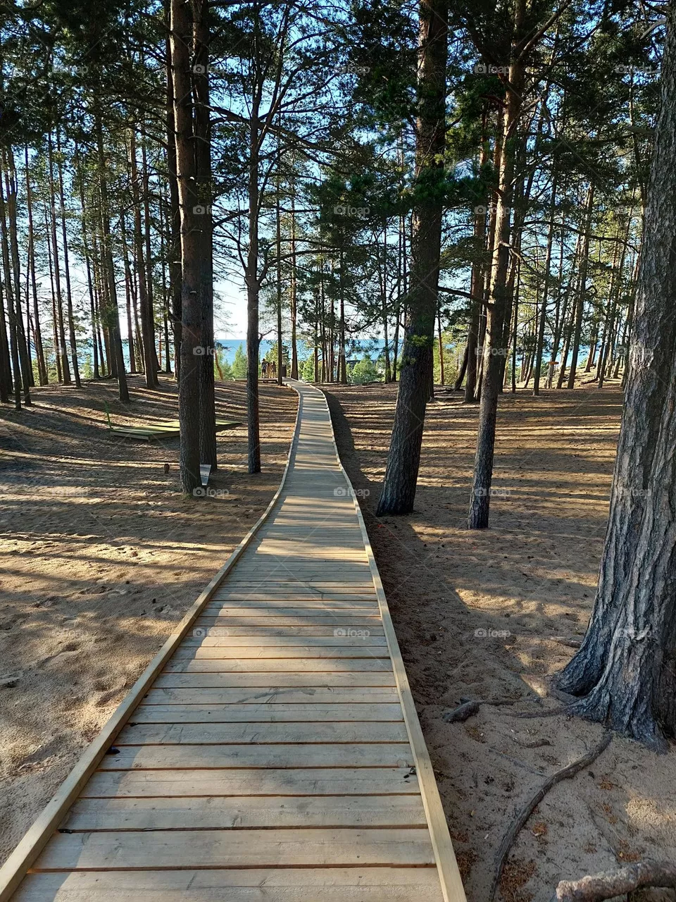 Kalajoki