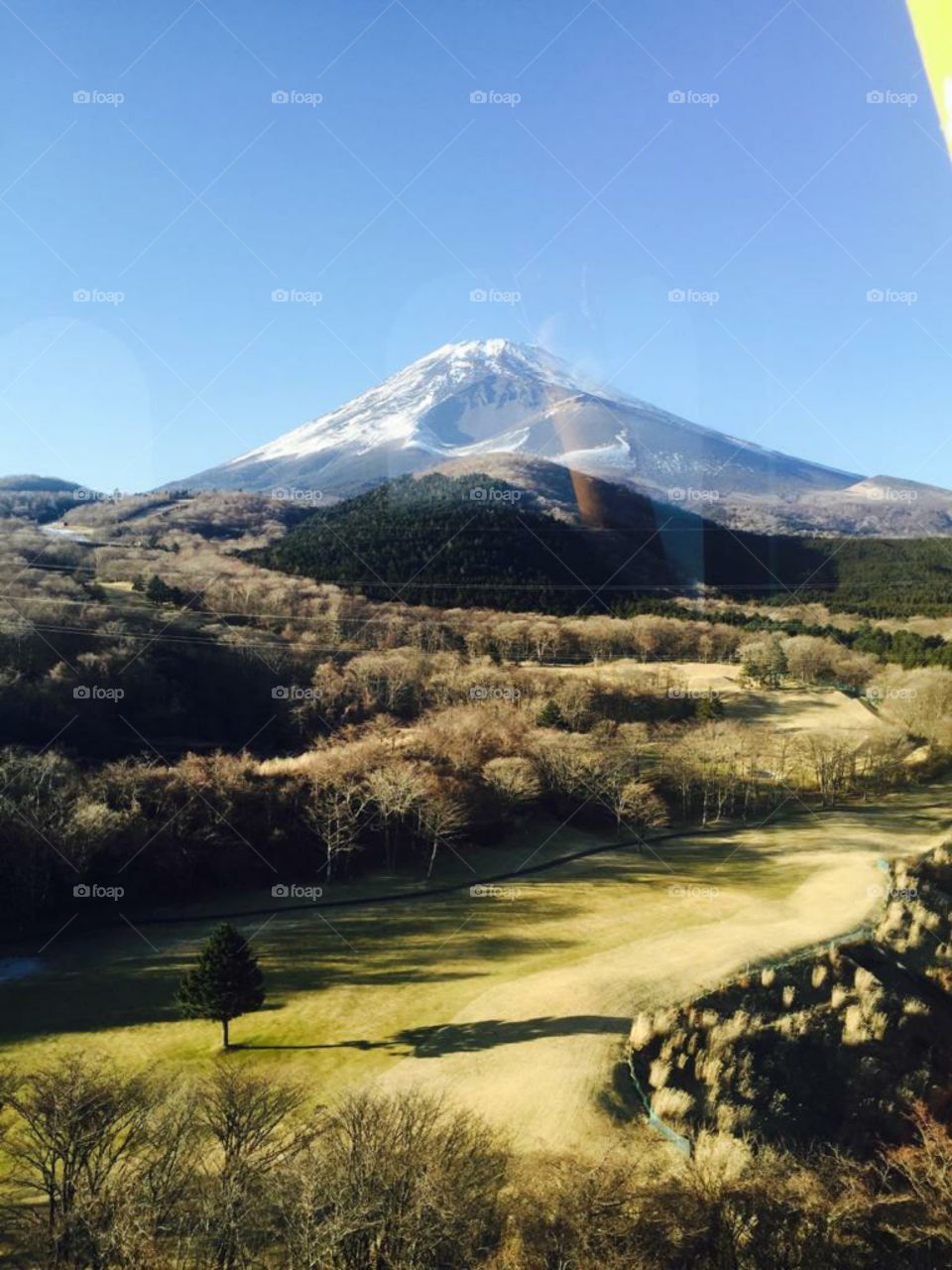 amazing view of mountain and forest