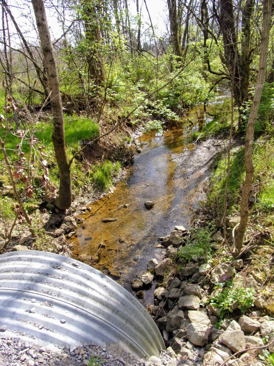 water bypass leading to a small, peaceful creek.