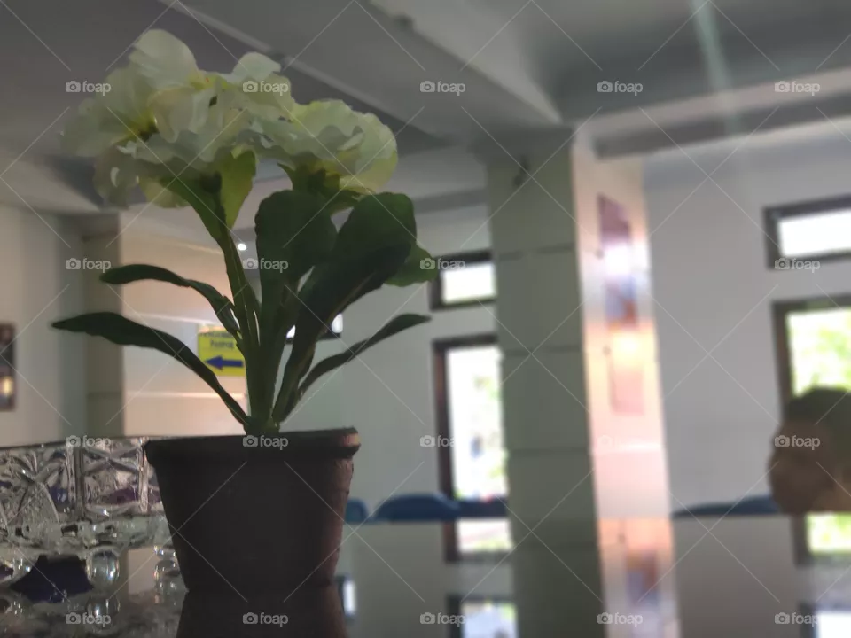 a flower