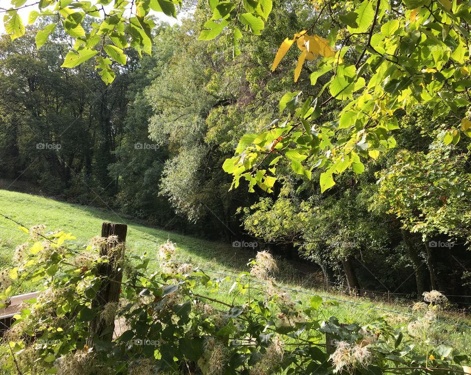 End of summer in countryside 