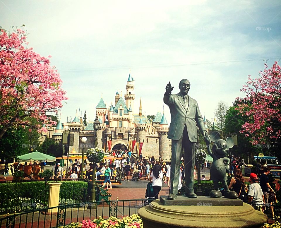 Disneyland 