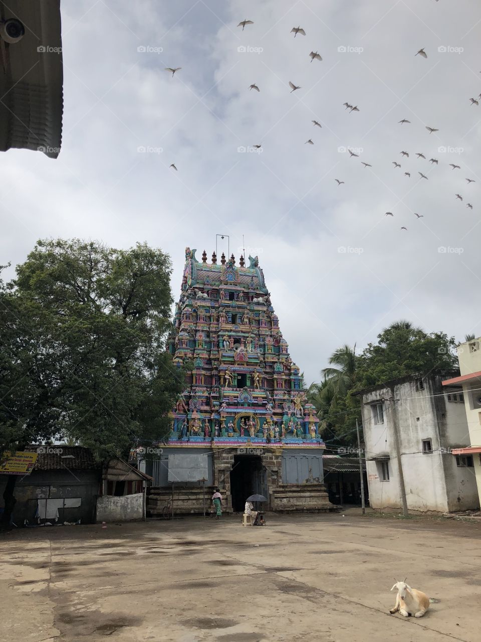 Temple visit