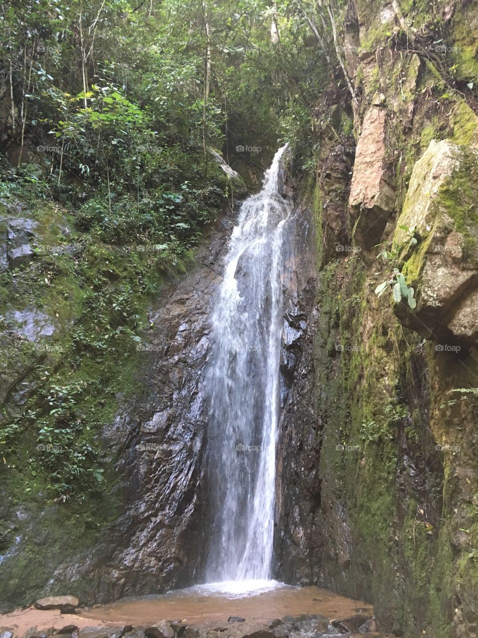 a small waterfall in the jungle areas outside of La Merced Peru