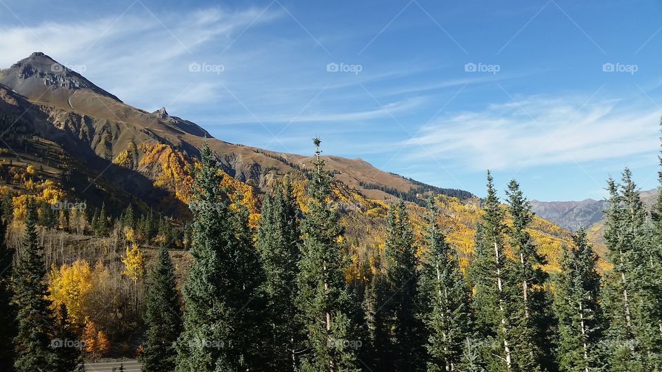 Wood, Mountain, Landscape, No Person, Nature