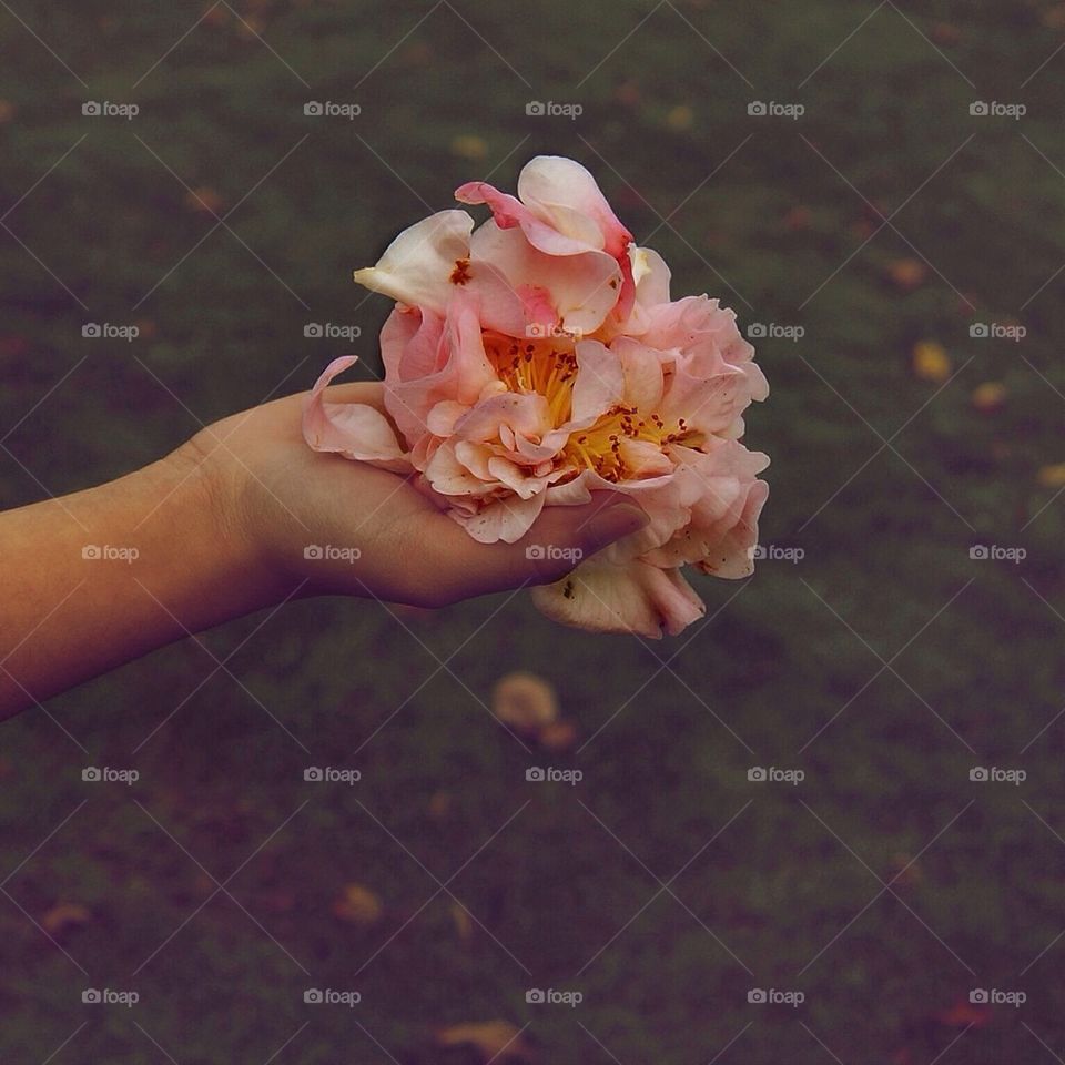 Hand of Flowers