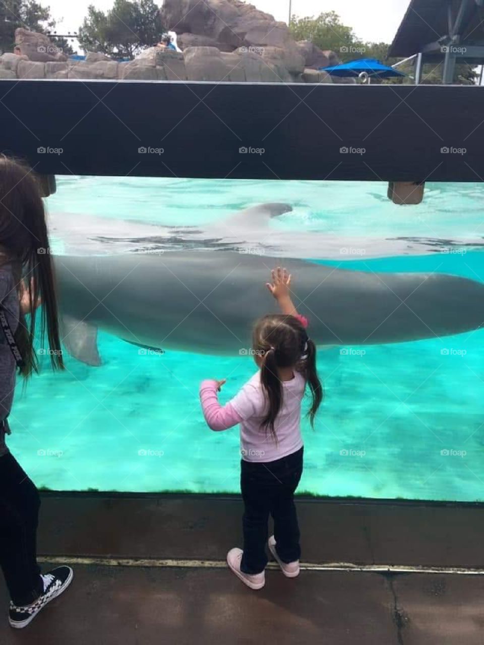 baby elyse with dolphin