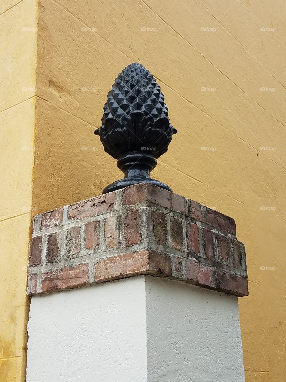 Charleston, SC,  historic district, pineapple