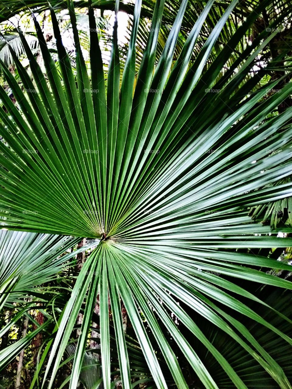 Cada detalhe e cada dobra perfeitos.