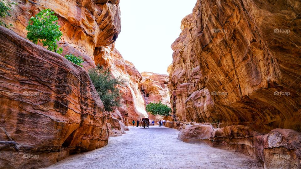 the alley in Petra of Jordan