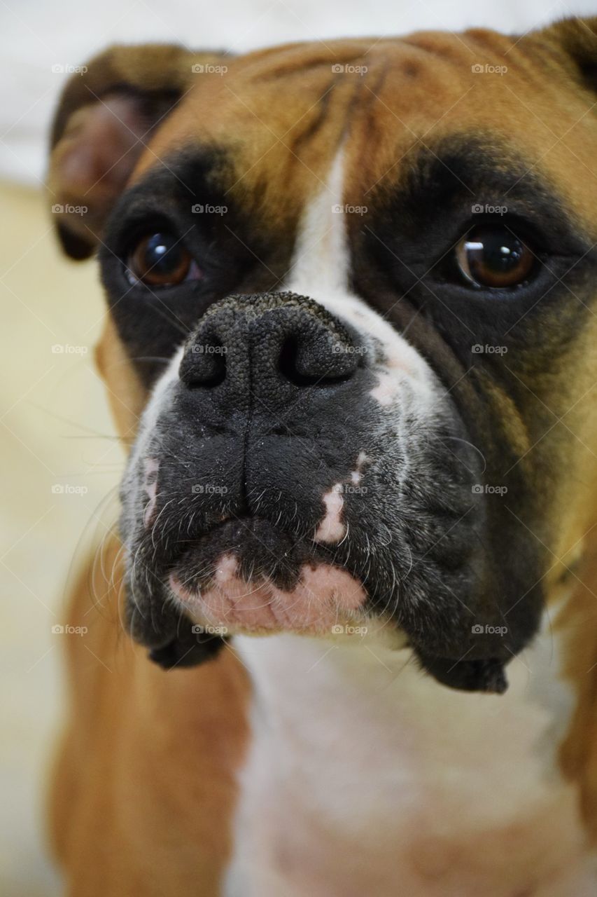 Patty Cake Patty Cake