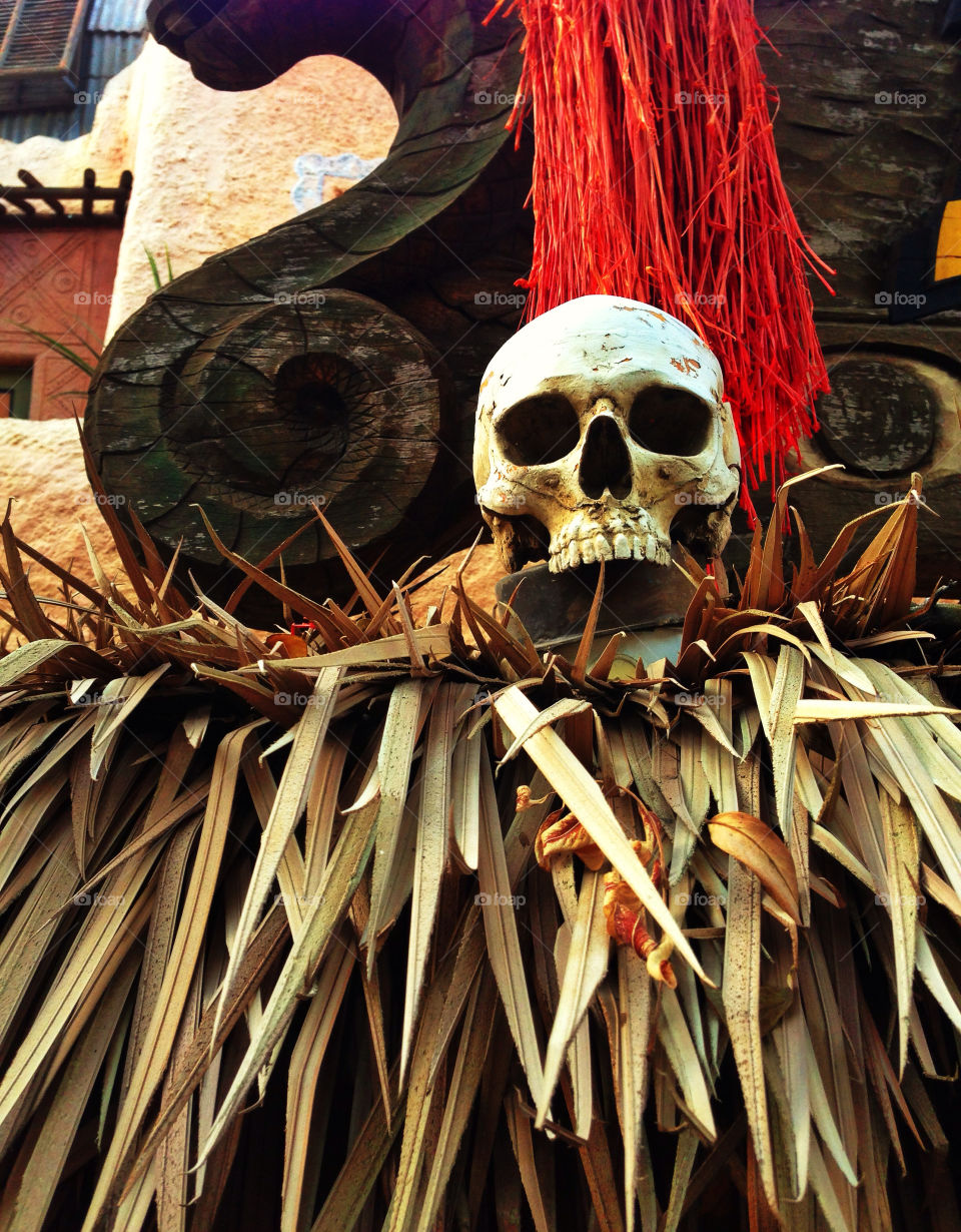 Skull in head hunter tribal ritual display