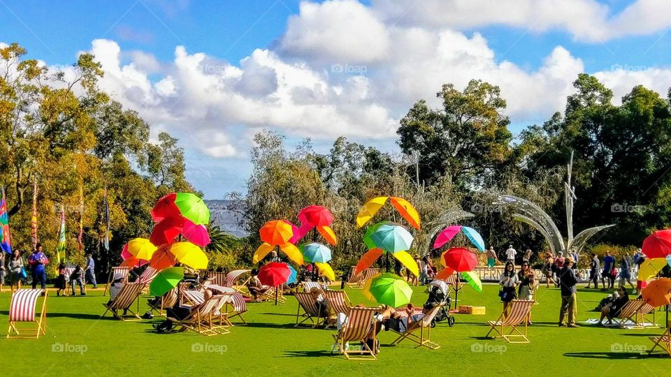 Crowds relaxing in the shade on a warm summers day at Kings Park Botanic Gardens! Perth, Western Australia.