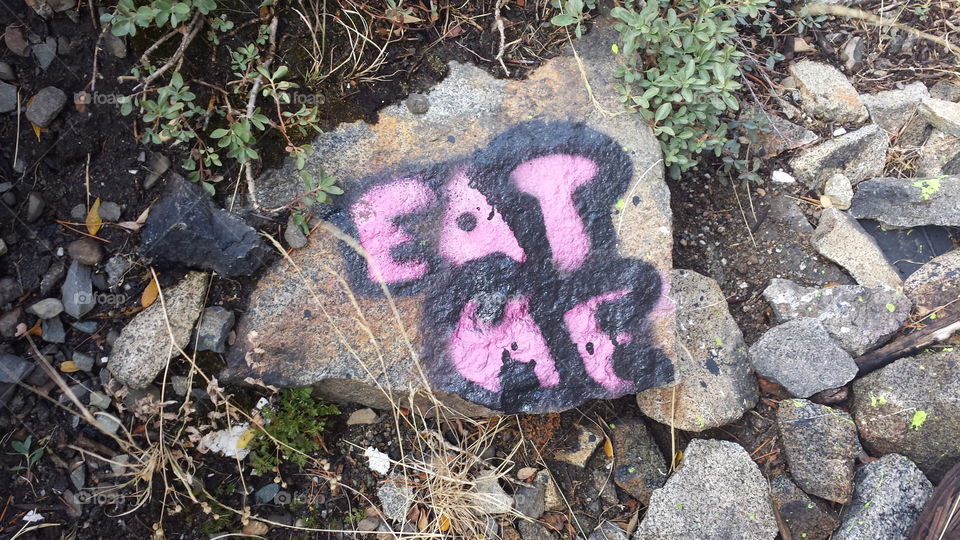 EAT ME! such a demanding rock.