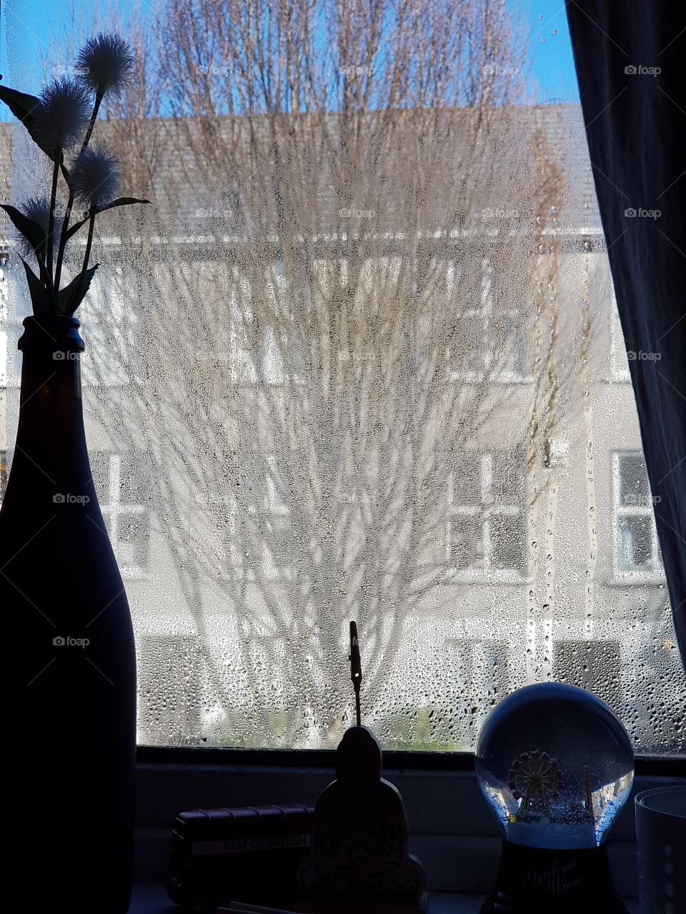 sun, window, sky, blue, no person, tree, silhouette