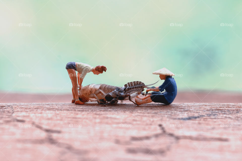 Miniature Figure helping cricket shedding exoskeleton