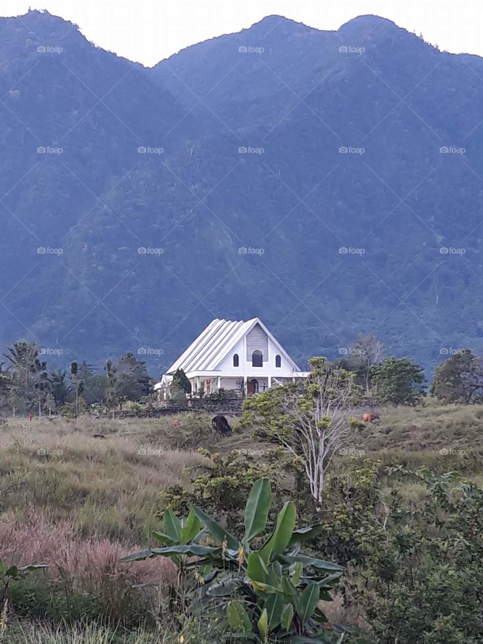 mountain home