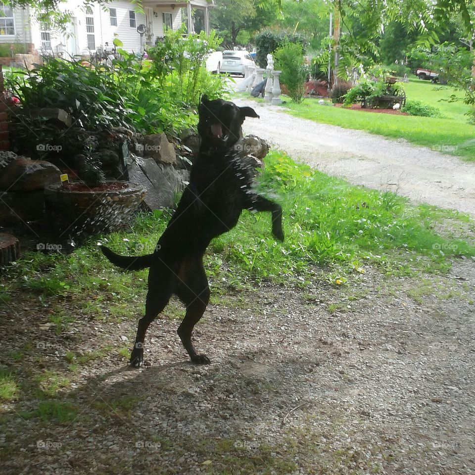 Playing with the water hose