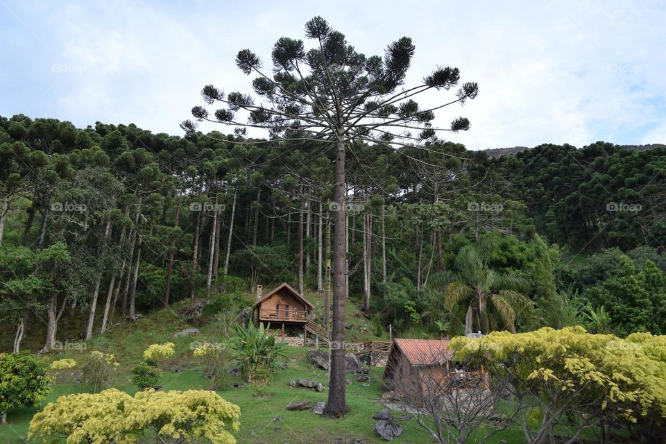 São Bento do Sapucaí SP Brazil SP Brazil